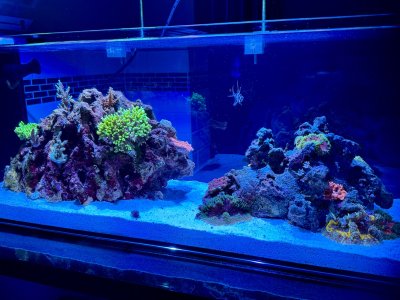 IMG_2156.jpeg IMG_2156.jpeg