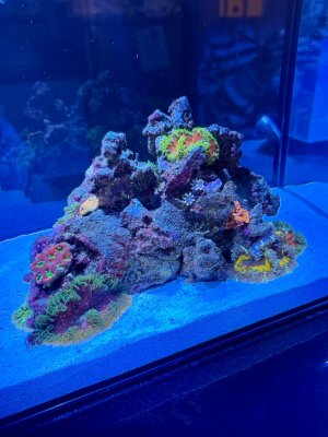 IMG_2154.jpeg IMG_2154.jpeg