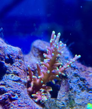 IMG_2164.jpeg IMG_2164.jpeg