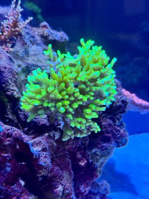 IMG_2124.jpeg IMG_2124.jpeg