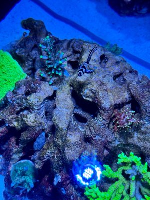 IMG_2173.jpeg IMG_2173.jpeg