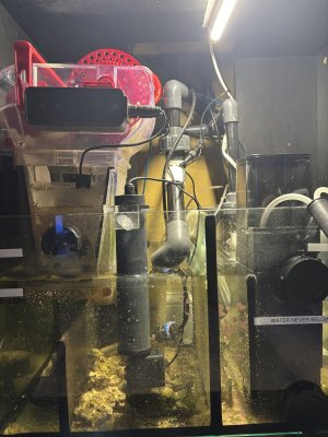 IMG_7133.jpeg IMG_7133.jpeg