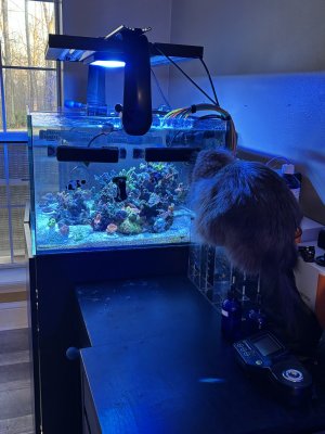 IMG_7168.jpeg IMG_7168.jpeg