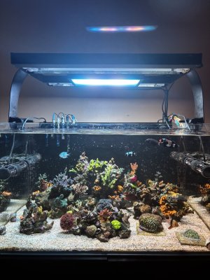 IMG_7471.jpeg IMG_7471.jpeg