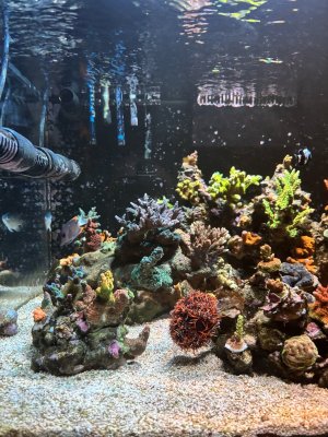 IMG_7458.jpeg IMG_7458.jpeg