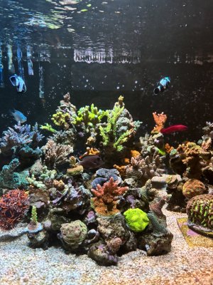 IMG_7459.jpeg IMG_7459.jpeg