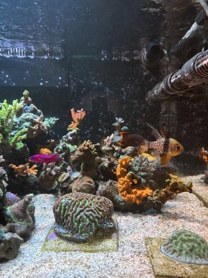 IMG_7460.jpeg IMG_7460.jpeg