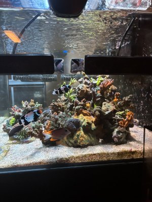 IMG_7465.jpeg IMG_7465.jpeg