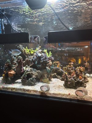 IMG_7466.jpeg IMG_7466.jpeg