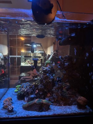 IMG_7468.jpeg IMG_7468.jpeg