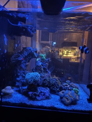 IMG_7469.jpeg IMG_7469.jpeg