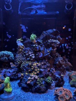 IMG_7470.jpeg IMG_7470.jpeg