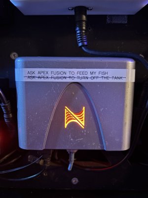 IMG_7601.jpeg IMG_7601.jpeg