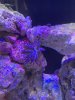 IMG_3732.jpeg IMG_3732.jpeg