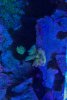 C865F62A-3CF8-462E-9C87-A1355080D0BC.jpeg