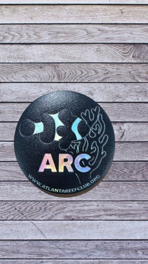 IMG_8542-Photoroom.jpeg IMG_8542-Photoroom.jpeg