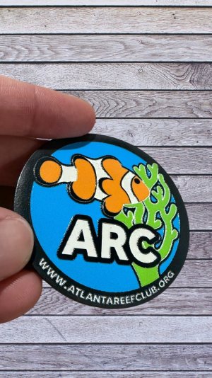 IMG_8547-Photoroom.jpeg IMG_8547-Photoroom.jpeg