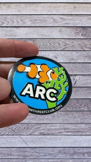 IMG_8546-Photoroom.jpeg IMG_8546-Photoroom.jpeg