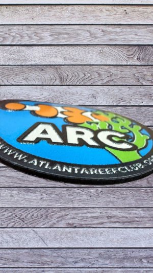 IMG_8548-Photoroom.jpeg IMG_8548-Photoroom.jpeg