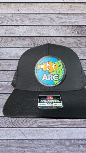 IMG_8552-Photoroom.jpeg IMG_8552-Photoroom.jpeg