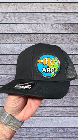 IMG_8553-Photoroom.jpeg IMG_8553-Photoroom.jpeg