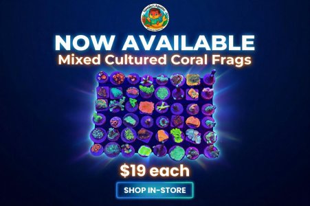 photo_2026-03-14 05.47.00.jpeg