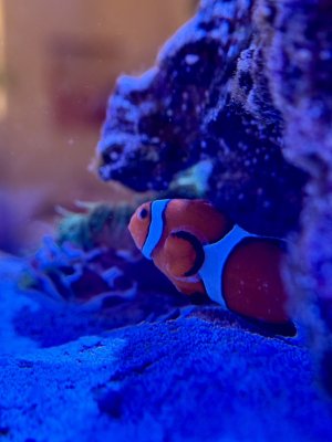 IMG_2532.jpeg IMG_2532.jpeg