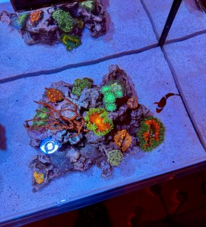 IMG_2470.jpeg IMG_2470.jpeg