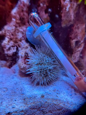 IMG_2447.jpeg IMG_2447.jpeg