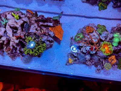 IMG_2468.jpeg IMG_2468.jpeg