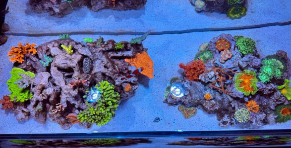 IMG_2714.jpeg IMG_2714.jpeg