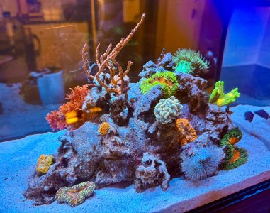 IMG_2720.jpeg IMG_2720.jpeg