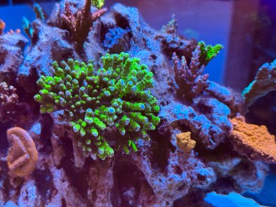 IMG_2718.jpeg IMG_2718.jpeg