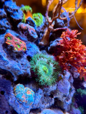 IMG_2687.jpeg IMG_2687.jpeg