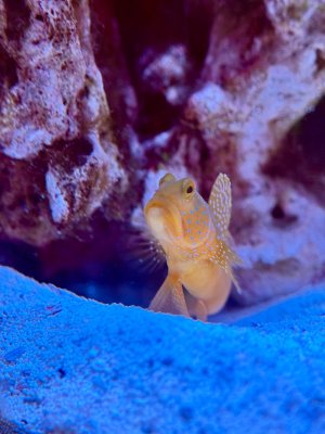 IMG_2677.jpeg IMG_2677.jpeg