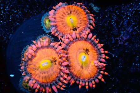 P4050327.jpeg P4050327.jpeg