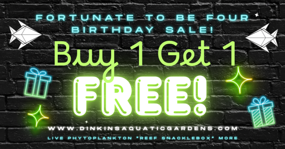 Buy 1 Get 1.png Buy 1 Get 1.png