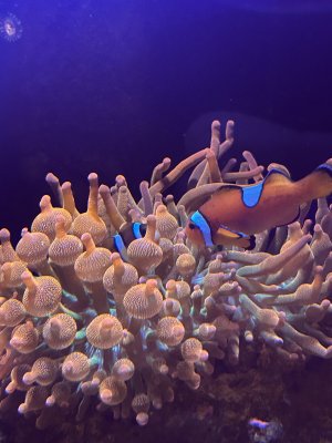 IMG_6478.jpeg IMG_6478.jpeg