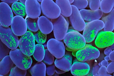 P4110409.jpeg P4110409.jpeg