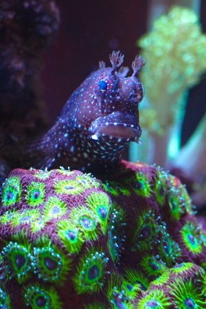 P4120435.jpeg P4120435.jpeg