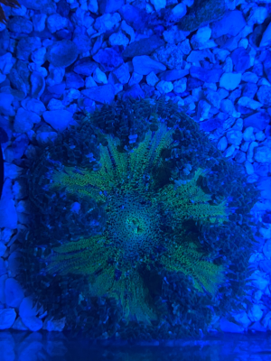 IMG_7704.png IMG_7704.png