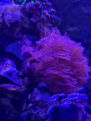 IMG_3129.jpeg