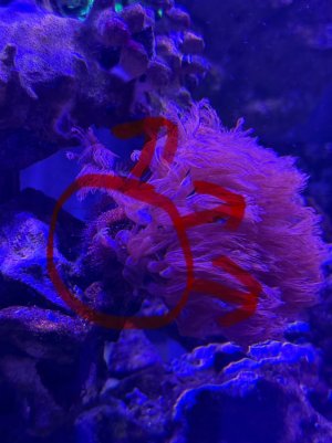 IMG_3129.jpeg