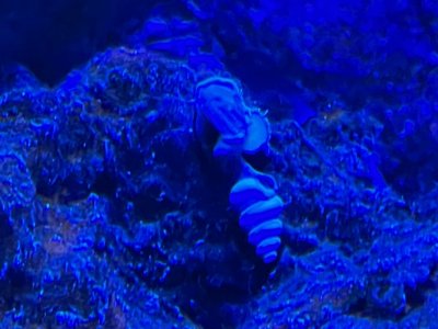 IMG_3454.jpeg