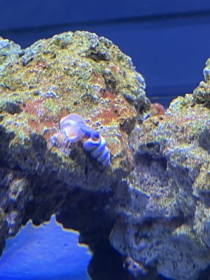 IMG_3457.jpeg