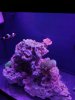 IMG_20191013_175013.jpg