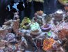 IMG_20191112_193319.jpg