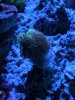 IMG_20191219_183624.jpg