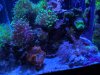 IMG_20191219_195325.jpg