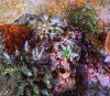 59E7BF2B-EEBA-4EBC-890F-6DE90193E3C0.jpeg